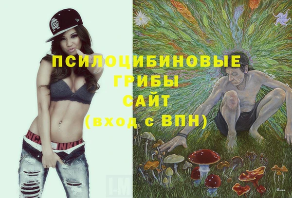 MDMA Premium VHQ Алзамай